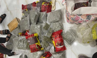 Bắt 10 đối tượng mua bán hơn 200kg cần sa trên không gian mạng