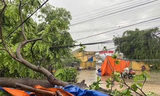 Mưa lớn, lốc xoáy tại Tuyên Quang và Lào Cai làm sập, tốc nhiều nhà dân