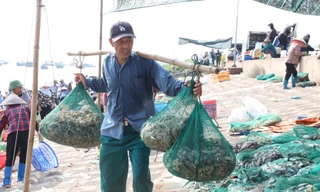 Tấp nập mua bán ở chợ cá Nam Định lúc sáng sớm