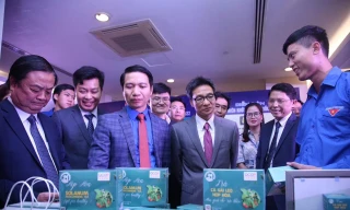 Bỏ việc lương khá, chàng trai về quê giúp hàng chục hộ nông dân phát triển kinh tế