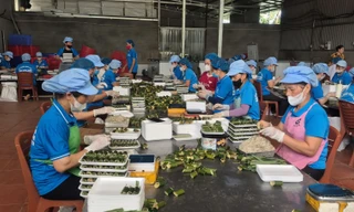 Khởi nghiệp với món ăn dân dã, vươn lên làm giàu, kiếm tiền tỷ mỗi năm 