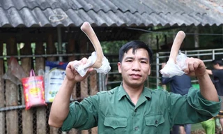 Trưởng thôn tập hợp người dân nuôi hươu sao, cùng giúp nhau làm giàu