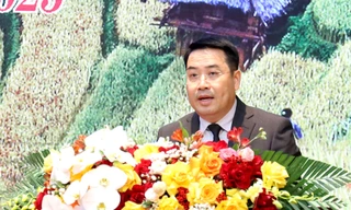 Yên Bái chấp thuận đầu tư 7 dự án có tổng số vốn hơn 625 tỷ