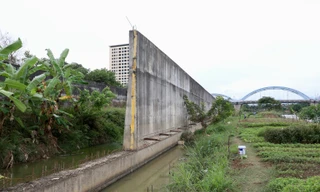 Dự án cấp bách tiêu tốn hàng trăm tỷ nằm hoang phế bên bờ sông Cầu