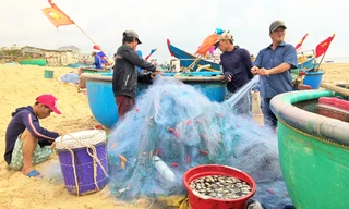 Ngư dân Vũng Tàu trúng đậm 'lộc biển' đầu năm