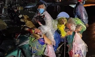 Bản tin 8H: Trưởng trạm y tế nơi tiêu hủy đàn chó, mèo xin nghỉ việc