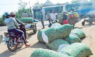 Kiệu Tết Phù Mỹ ra Bắc vào Nam