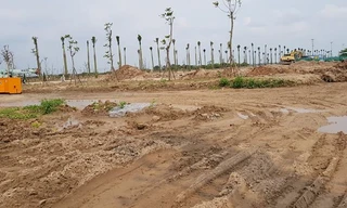 Hưng Yên 'xử' tiếp 3 doanh nghiệp san lấp trái phép đất trồng lúa