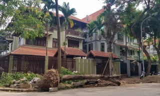 Biệt thự đô thị kiểu mẫu Hà Nội tự chặt cây, lát vỉa hè sai quy hoạch