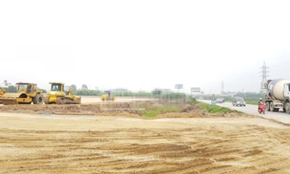 Hưng Yên phạt nặng doanh nghiệp tự ý san lấp 2,7 ha đất trồng lúa