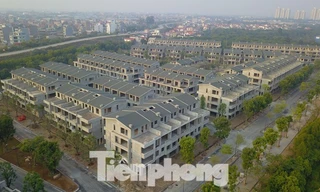 Chủ dự án vườn Vạn Tuế bán biệt thự, nhà phố thu gần 300 tỷ đồng trên đất nhà máy gạch