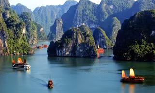 Tàu du lịch trên vịnh Cát Bà