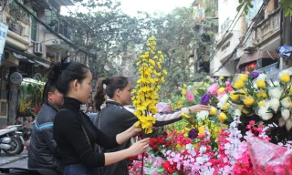 Ngày cận tết, hoa giả phong phú về chủng loại, đa dạng màu sắc bày bán trên phố thu hút khách đến mua