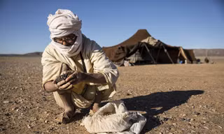 Một thợ săn thiên thạch tại Morocco đang kiểm tra mẫu vật thu được. Ảnh: AFP.