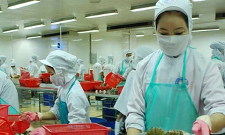 Nhiều ngân hàng vẫn âm thầm thu nhiều loại phí khi doanh nghiệp vay vốn, khiến doanh nghiệp thêm khó