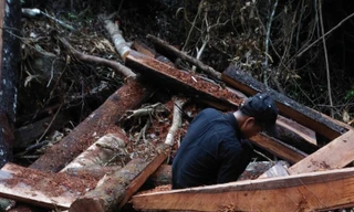 Tìm ra nơi cất giấu gỗ vụ phá rừng mun Phong Nha – Kẻ Bàng