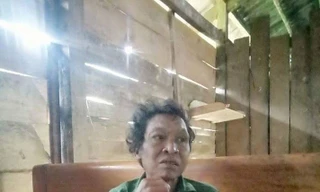 Sống sót trở về sau 8 ngày lạc giữa rừng