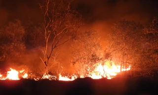 15 ha rừng phòng hộ ven biển Quảng Bình bị cháy rụi