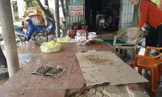 Ruồi, nhặng bâu kín các đồ vật trong nhà làm cuộc sống của hàng trăm hộ dân bị đảo lộn