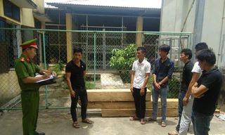 Nhóm 6 thanh niên "liều mạng" lao vào trạm bảo vệ rừng cướp gỗ. 