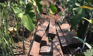 Phát hiện kho gỗ mun khủng trong lòng đất Phong Nha - Kẻ Bàng