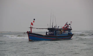 Vào đảo Hải Nam trú bão, một tàu cá xa bờ mất liên lạc 20 ngày