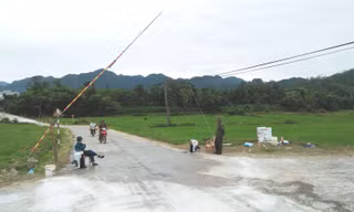 Ổ dịch tả lợn châu Phi lần đầu tiên bùng phát tại Quảng Bình