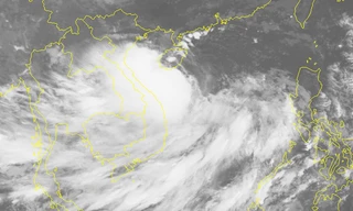 Một tàu cá phát tín hiệu cầu cứu gần tâm bão số 4