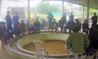 Bắt giữ nhiều đối tượng đang 'đỏ đen' tại sới gà