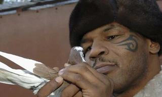 Quả đấm thép và chú bồ câu nhỏ