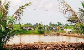 Lộ nguyên nhân 2 cha con tử vong bất thường trong vuông tôm