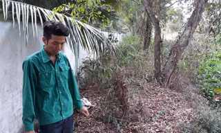 300 xác thai nhi lẫn trong rác, Chủ tịch UBND tỉnh Cà Mau yêu cầu làm rõ?