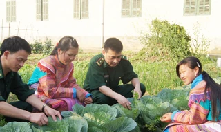 Giúp dân Pha Long thoát nghèo