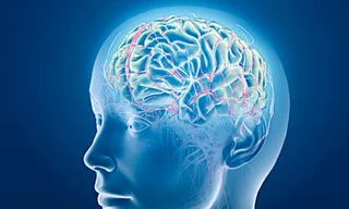 Có thể gặp nguy hiểm vì thuốc bổ trí não. Ảnh: Internet