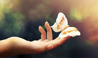 Tia cực tím là nguyên nhân chính gây nên căn bệnh này. Do đó, nhất thiết người dân phải thực hiện các biện pháp chống nắng để bảo vệ da, tránh nguy cơ gây ung thư. Ảnh minh hoạ: Internet
