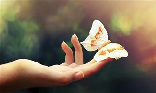 Tia cực tím là nguyên nhân chính gây nên căn bệnh này. Do đó, nhất thiết người dân phải thực hiện các biện pháp chống nắng để bảo vệ da, tránh nguy cơ gây ung thư. Ảnh minh hoạ: Internet