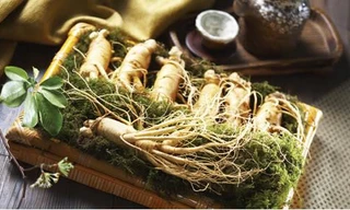 Ảnh minh hoạ: Internet