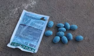 Ảnh minh hoạ: Internet