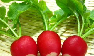 Ảnh minh hoạ: Internet