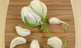 Ảnh minh hoạ: Internet