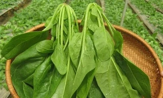 Ảnh minh hoạ: Internet