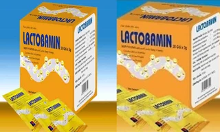 Ảnh minh hoạ: Internet