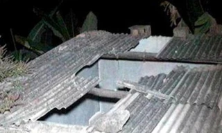 Bò rơi từ mái nhà đè chết người