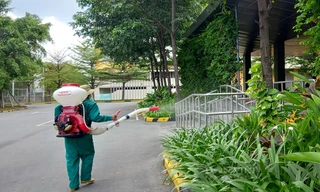 Bình Dương: Cảnh báo có trẻ tử vong do sốt xuất huyết, nhiều gia đình vẫn tự mua thuốc điều trị