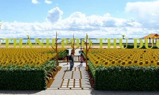 Ngắm cánh đồng hoa hướng dương 6.000m2 ở ven sông Sài Gòn qua phối cảnh