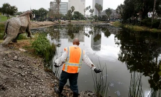 Sự thật rùng mình từ 'hồ tử thần' chứa 8 quái vật tuyệt chủng