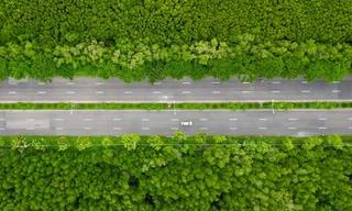 Giao thông xanh hiện đại ở huyện đảo Cần Giờ, TP.HCM