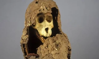 Xác ướp quái dị tiết lộ vương quốc huyền bí ẩn mình giữa Ai Cập