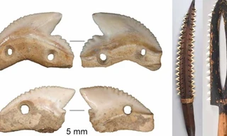 Lộ diện cổ vật 7.000 năm 'độc đáo và chết người'