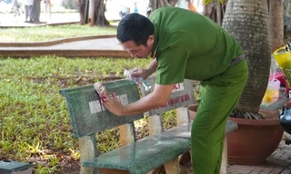 Chỉ sau 1 đêm, hàng trăm ghế đá ở Vũng Tàu 'biến hình' trong ngỡ ngàng